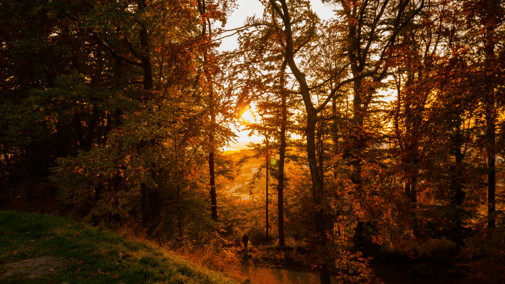 Fall Apartment Refresh: Welcoming the New&nbsp;Season